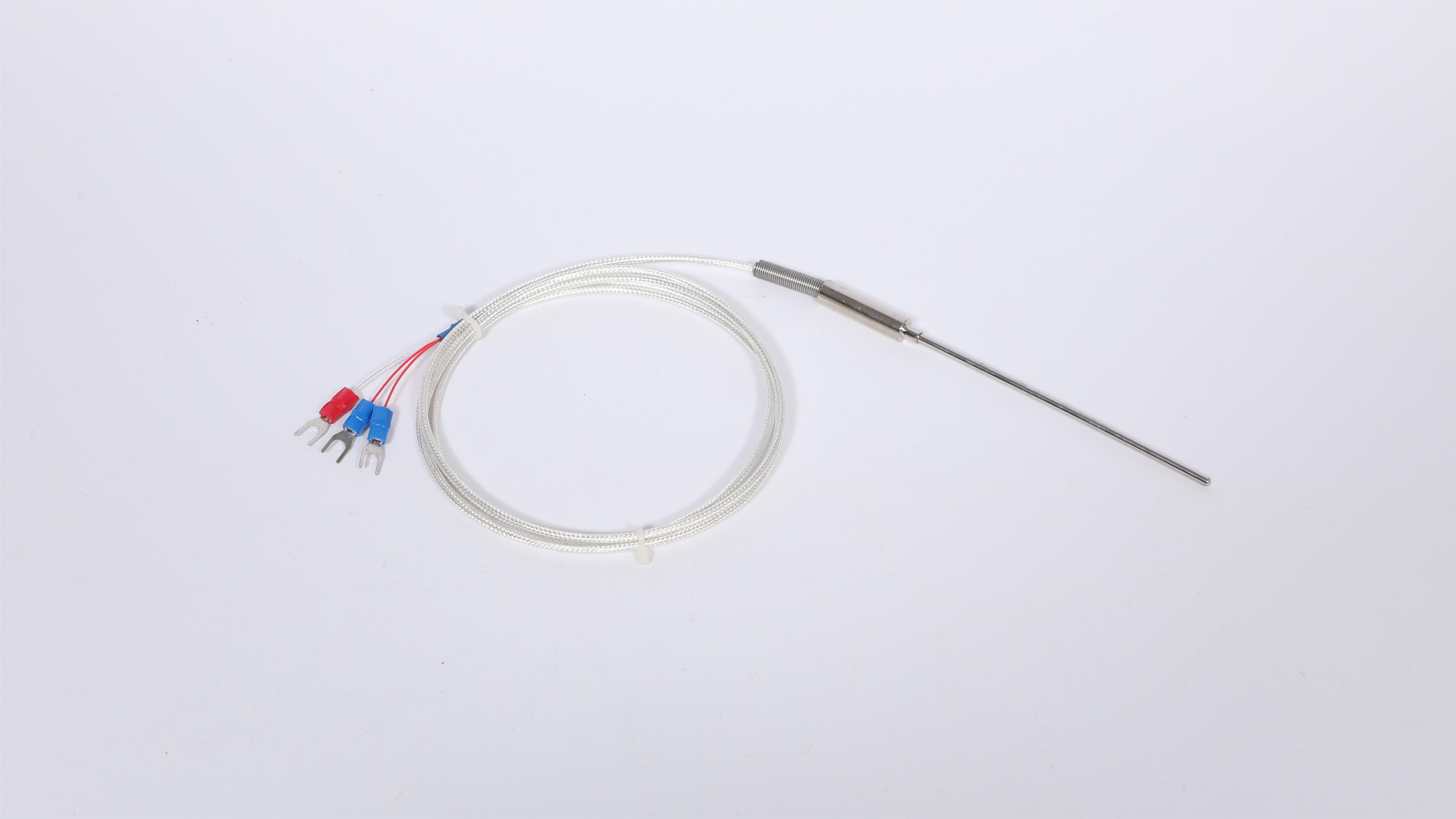 WZPK-191铠裝(zhuāng)熱電阻